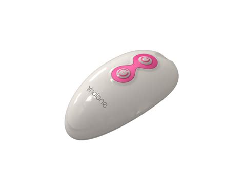 nalone miu miu remote control usb rechargeable vibrating kegel balls|Bluetooth Karaoke rechargeable Party Speakers, Bocinas.